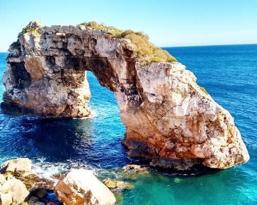 Mallorca (island)