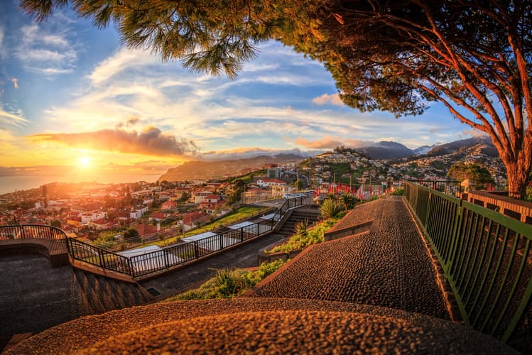 صورة - Madeira Discovery (2027)