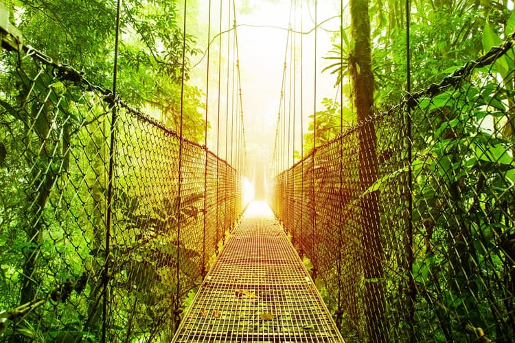 Image - Supersaver | Costa Rica Essentials Plus, 8 days