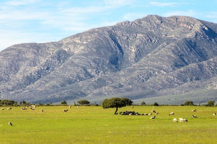 Image - Cape Town, Kruger and Garden Route, Self-Drive