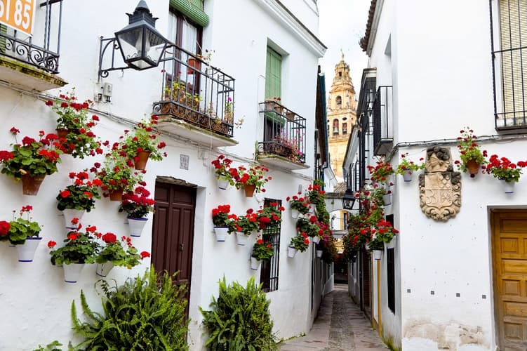 Bild - Best of Andalusia, Self-drive