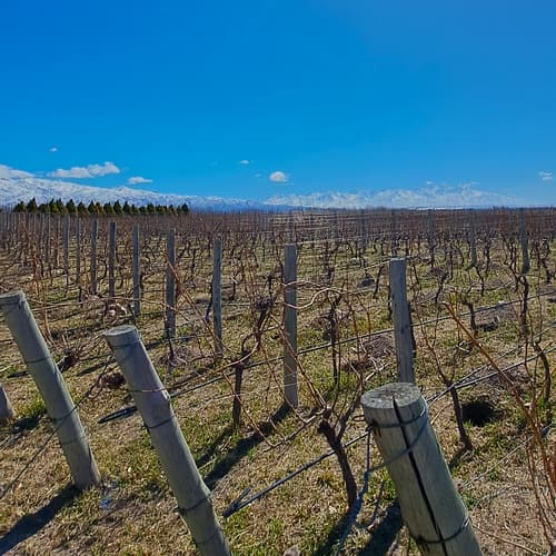 图像 - 4-Day Mendoza Wine Region Experience