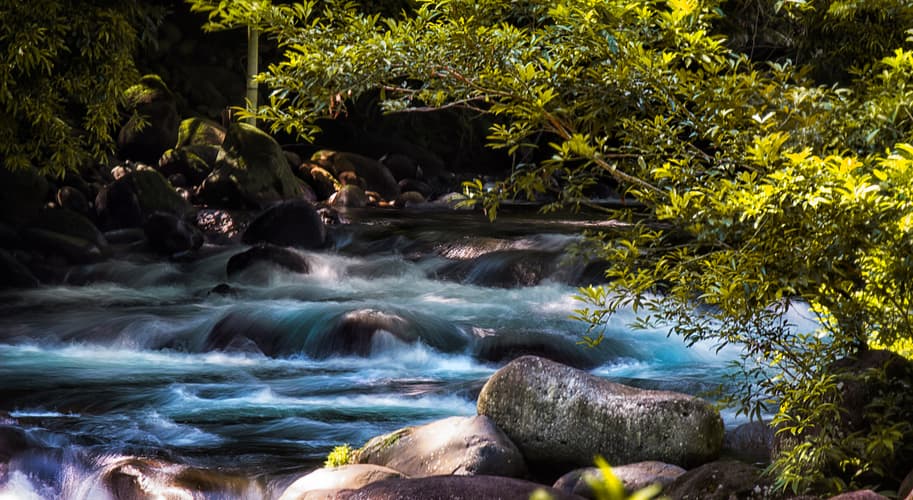 Beeld - Mystic Waterfalls & Forests Of Costa Rica