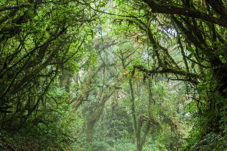 Image - Supersaver | Discovering Costa Rica, 14 days