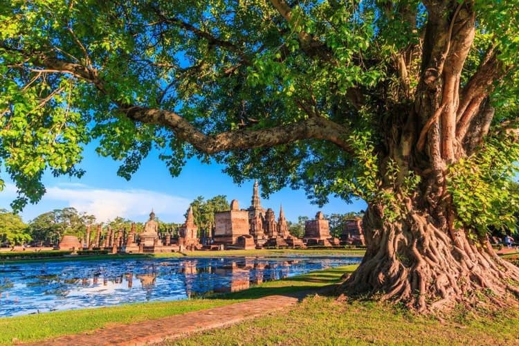 图像 - Trails and Gems of Siam, Small Group Tour