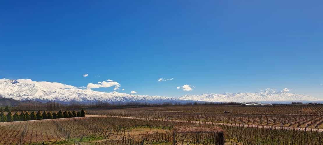 图像 - 4-Day Mendoza Wine Region Experience, French, Italian or German-speaking guide
