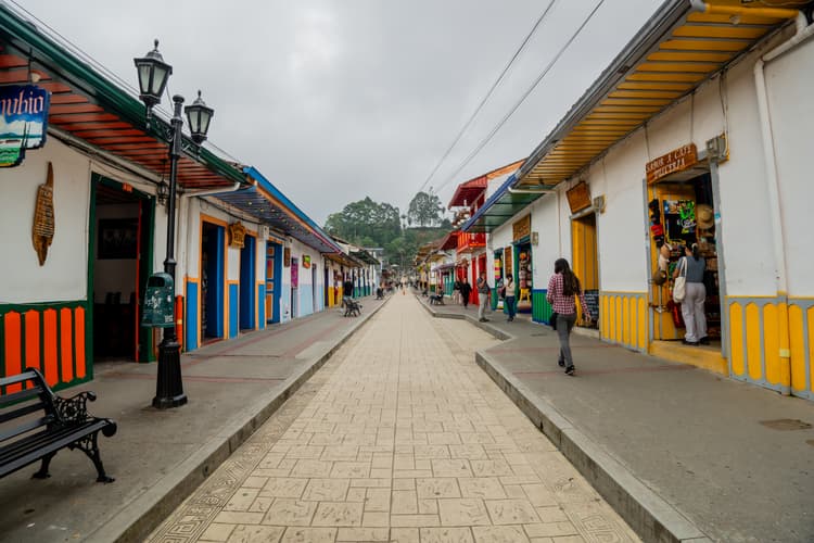 Image - 4-Day Pereira Coffee Region Experience, Private Tour