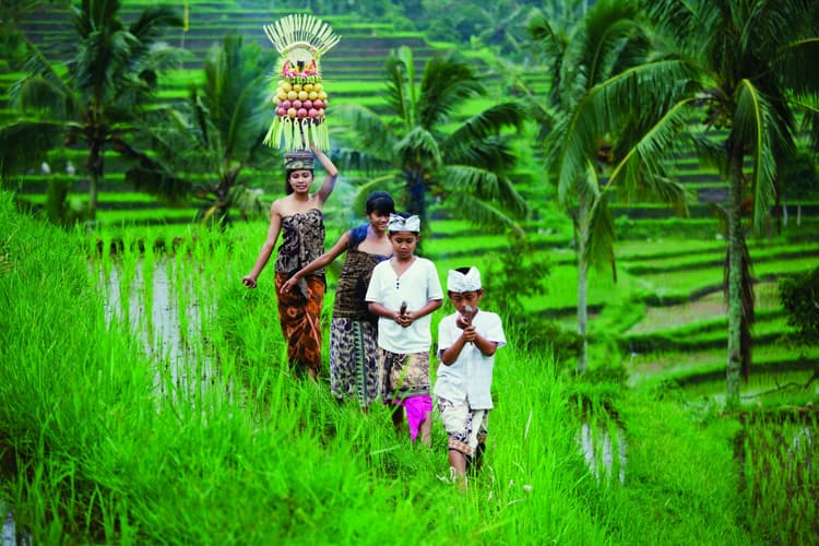 Imagine - Bali Discovery