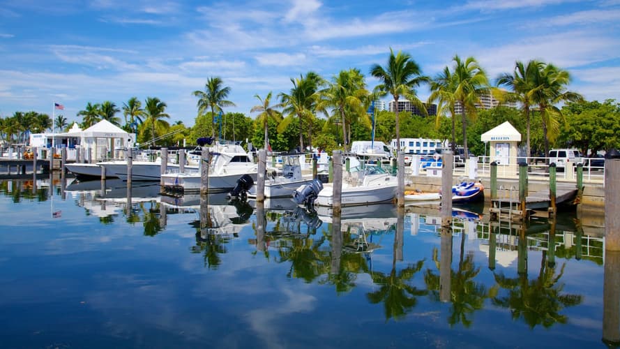 Image - The best of Florida