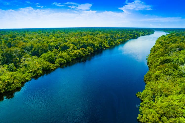 תמונה - Amazonia y Sus Encantos (Manaus - Amazonia)