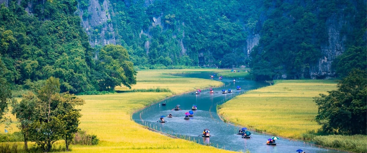 画像 - Majestic Vietnam with Mekong Delta