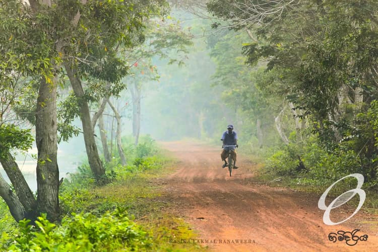 Image - SRI LANKA CULTURE TOUR