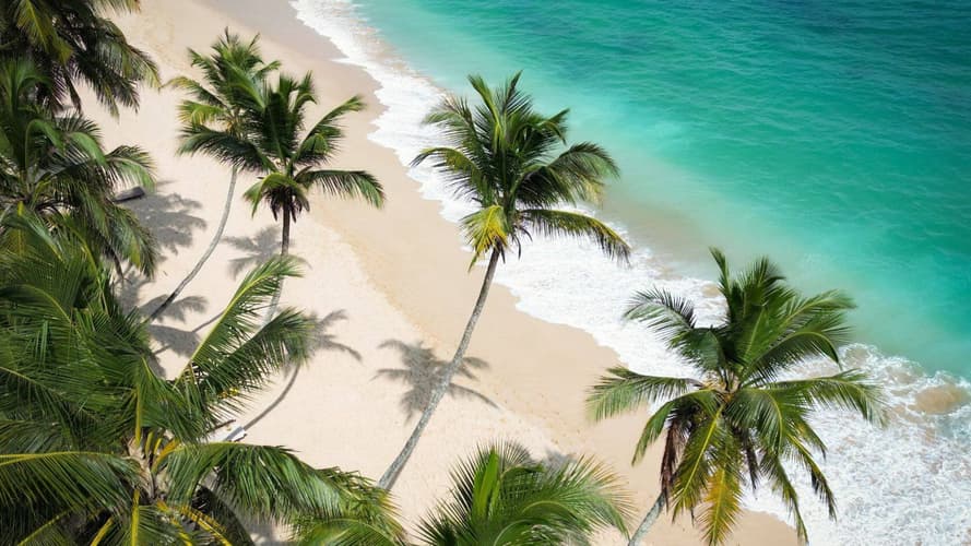 Εικόνα - Coastal Wonders of Sri Lanka