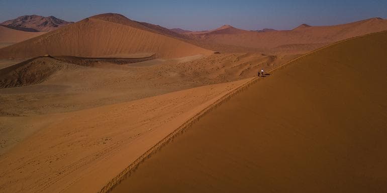 Imagem - Cape & Dunes Northbound: Wildlife & Starry Night Skies