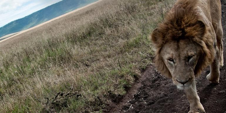 Imagen - Tanzania to Zanzibar: White Sands & the Wilderness