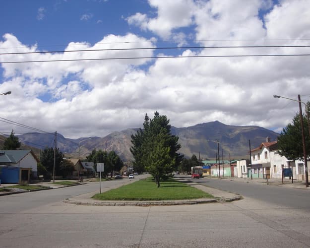 Imagen - Tulipanes Clásico