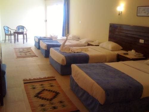 Zen Moon Marsa Alam