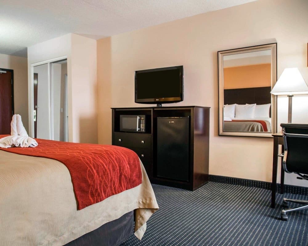 Comfort Inn International Drive