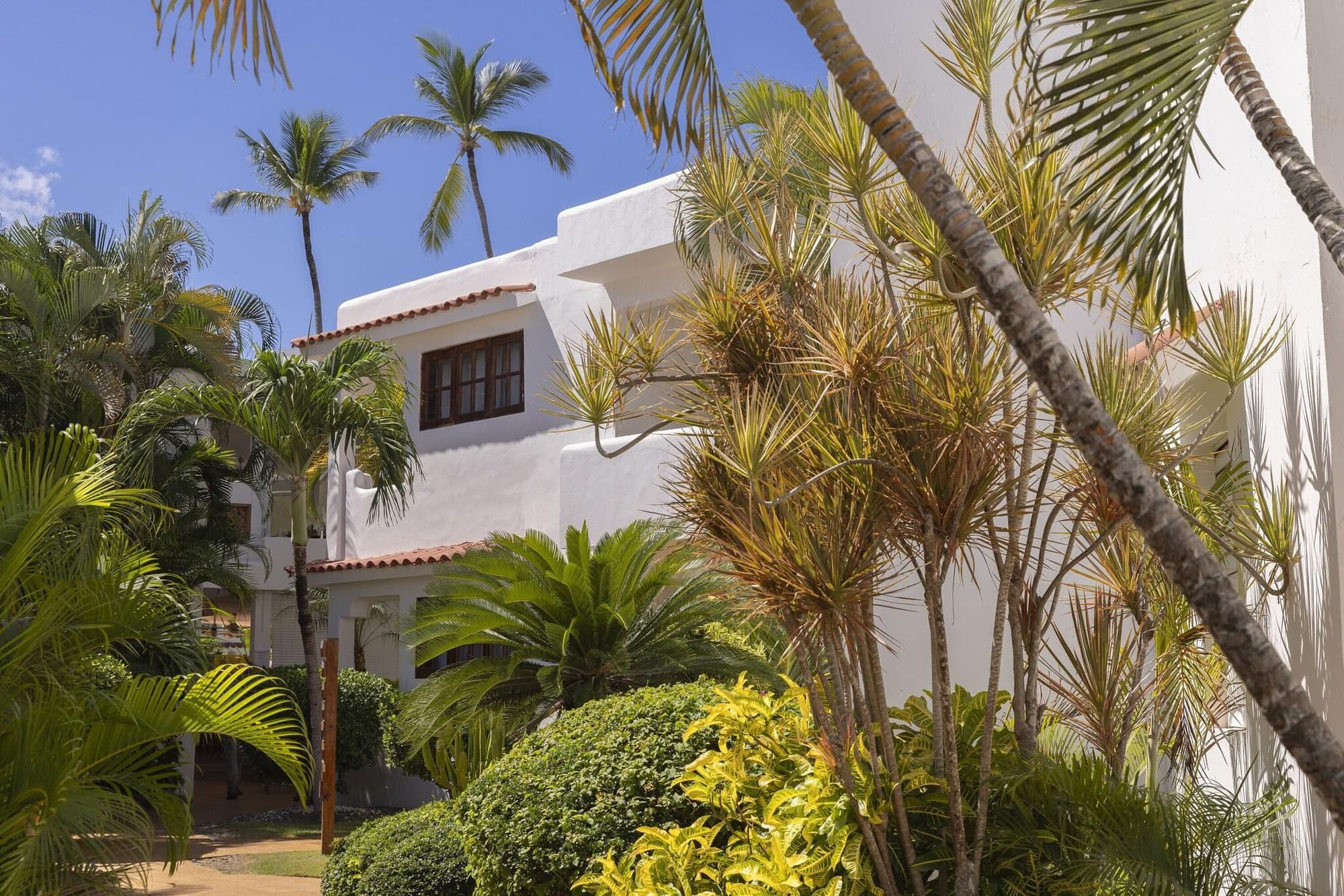 whala!bávaro