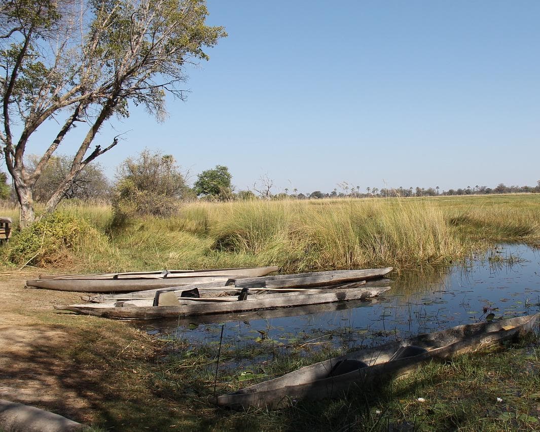 Delta del Okavango, Botsuana