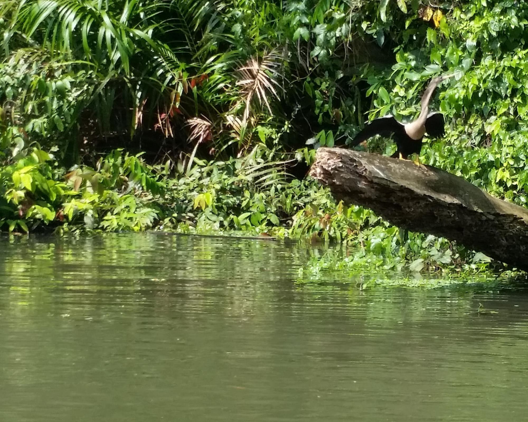 Pococi, Costa Rica