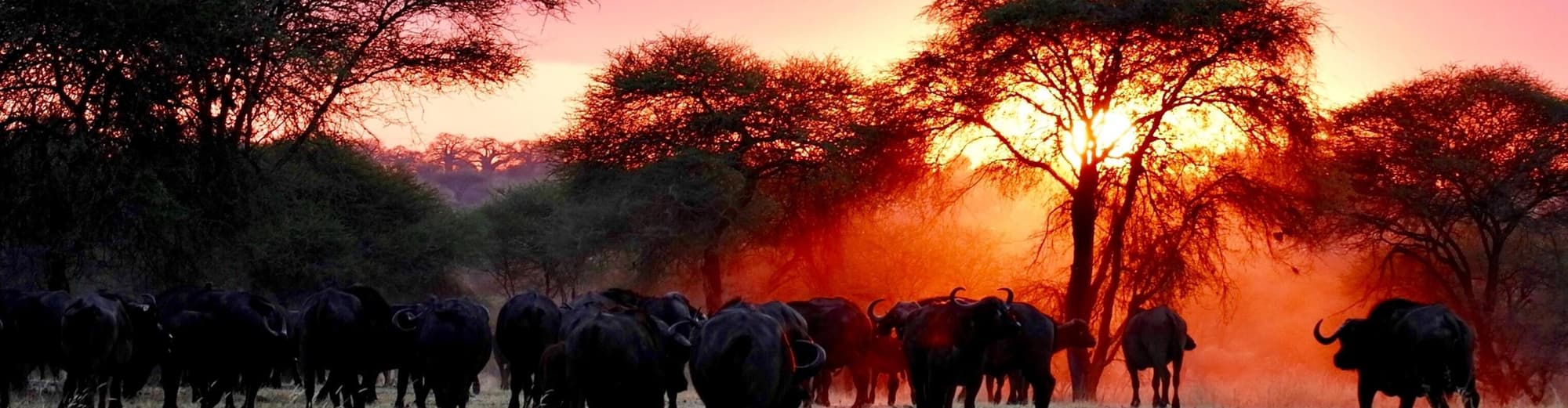 Arusha, Tansania