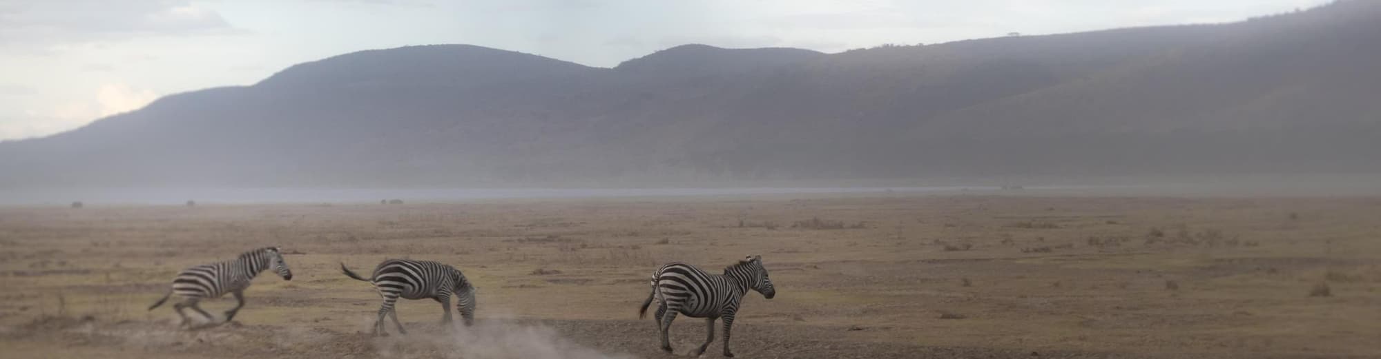 Nakuru, Kenia