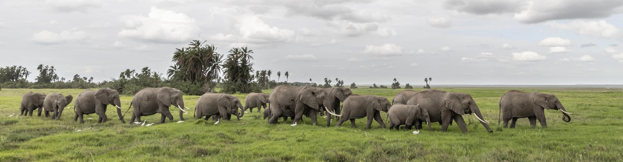 Parque nacional de Amboseli, Kenia