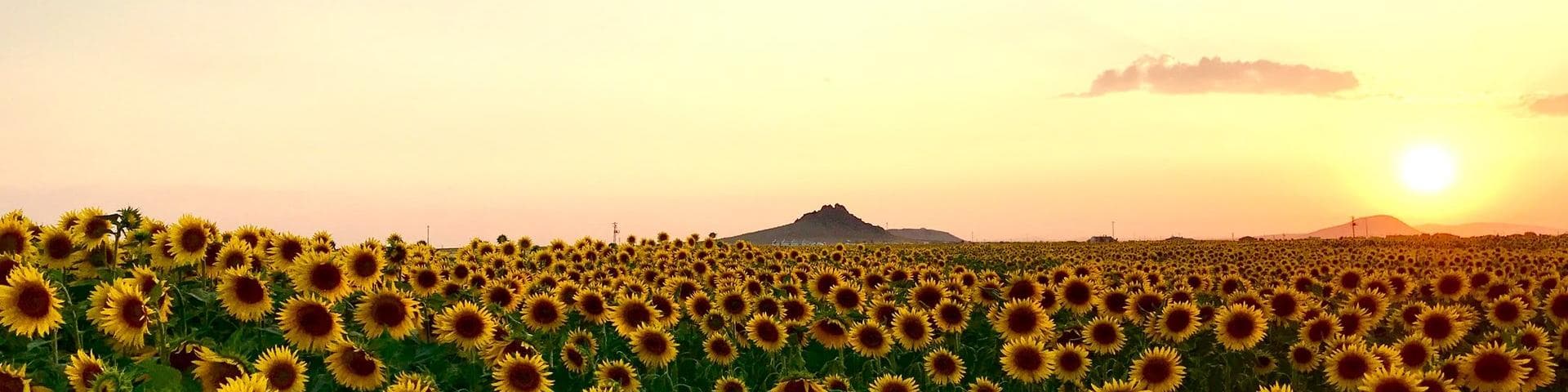 Konya, Turkey