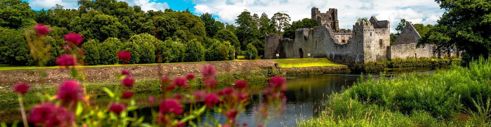 Limerick, İrlanda