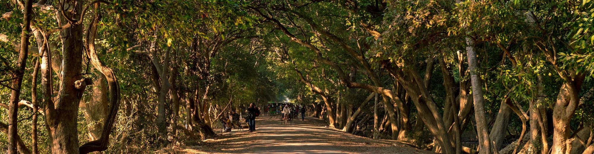 بهاراتبور, الهند