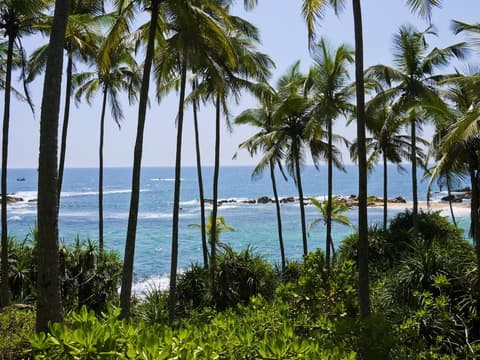 Las joyas del Sur de Sri Lanka: Costa, Cultura y Vida Silvestre, Tour Privado