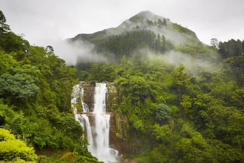 Lo más destacado de Sri Lanka, Tour Privado