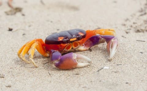 Diversión bajo el sol en la playa de Tamarindo, escapada corta