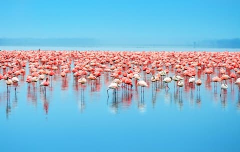 Lo más destacado de Kenia