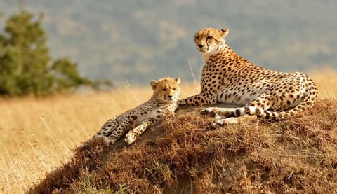 Through the Rift Valley, Serena Lodges 