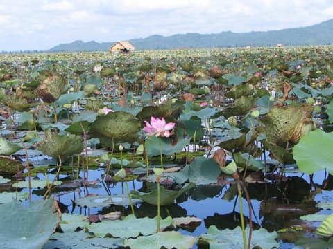 Cambodia Free & Easy Package, Private Tour 