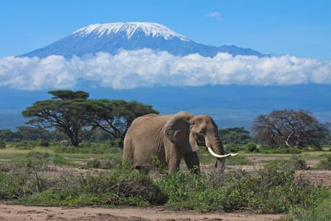 Explorador de África Oriental, Zebra Plains y Serena Lodges (Varios Paises)