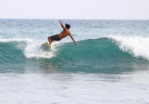 Las joyas del Sur de Sri Lanka: Costa, Cultura y Vida Silvestre, Tour Privado