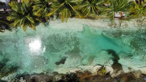 Wonders of the Maya