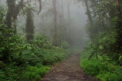 Multideporte Por Volcanes y Ríos (Bajo Petición)