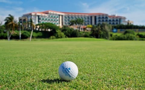 Sun, Beach and Golf