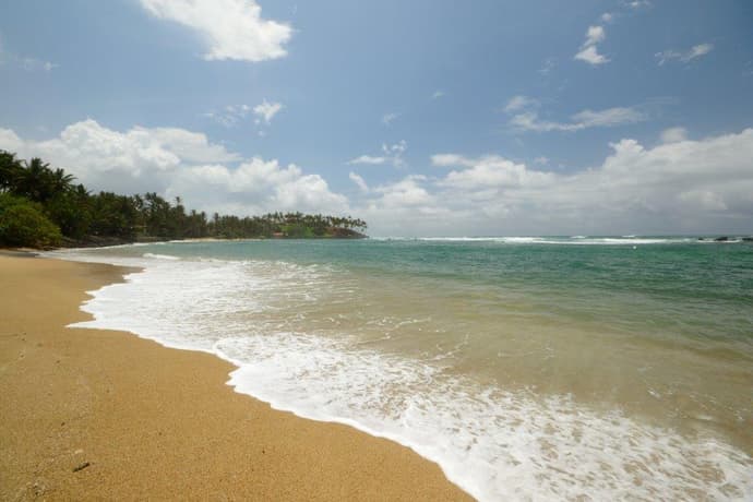 Las joyas del Sur de Sri Lanka: Costa, Cultura y Vida Silvestre, Tour Privado