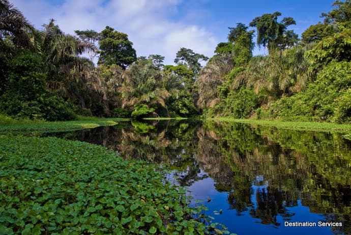 Del Caribe al Pacífico, Conducción por cuenta propia