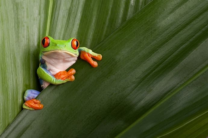 Ultimate Escape Costa Rica, Conducción por cuenta propia