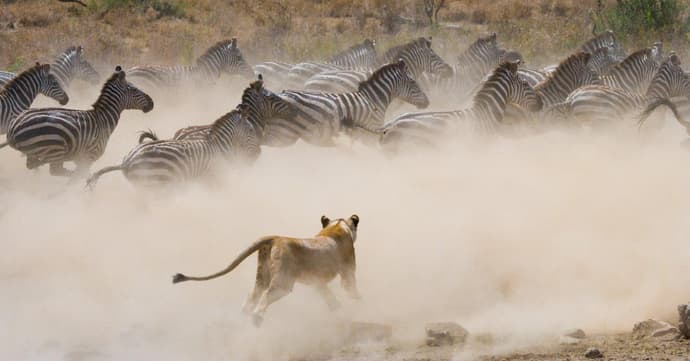 Through the Rift Valley, Serena Lodges 