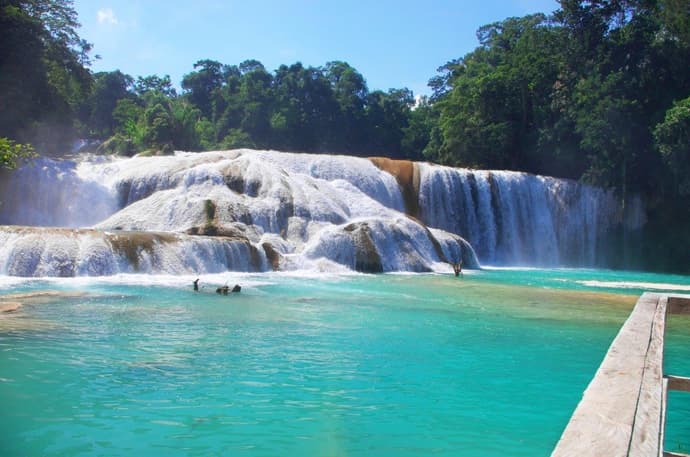 Lo mejor de Chiapas y Yucatán con el Tren Maya