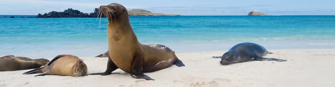 Galapagos Island Hopping