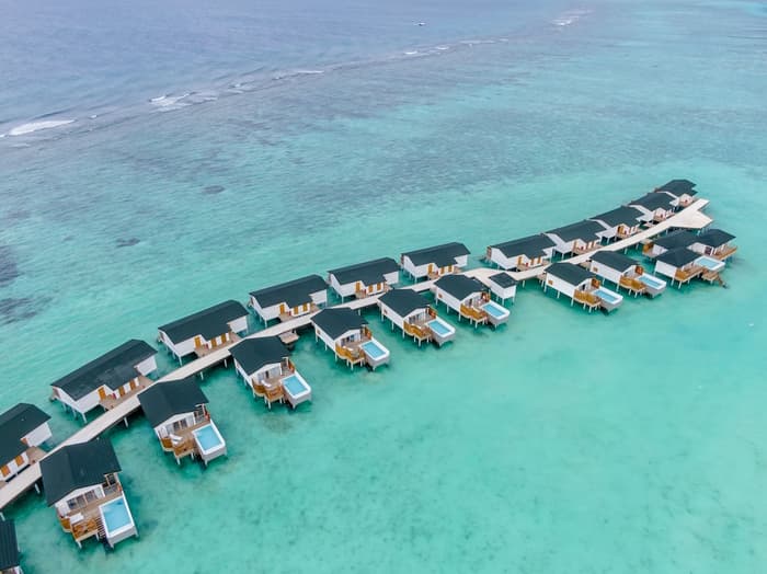 Joy Island