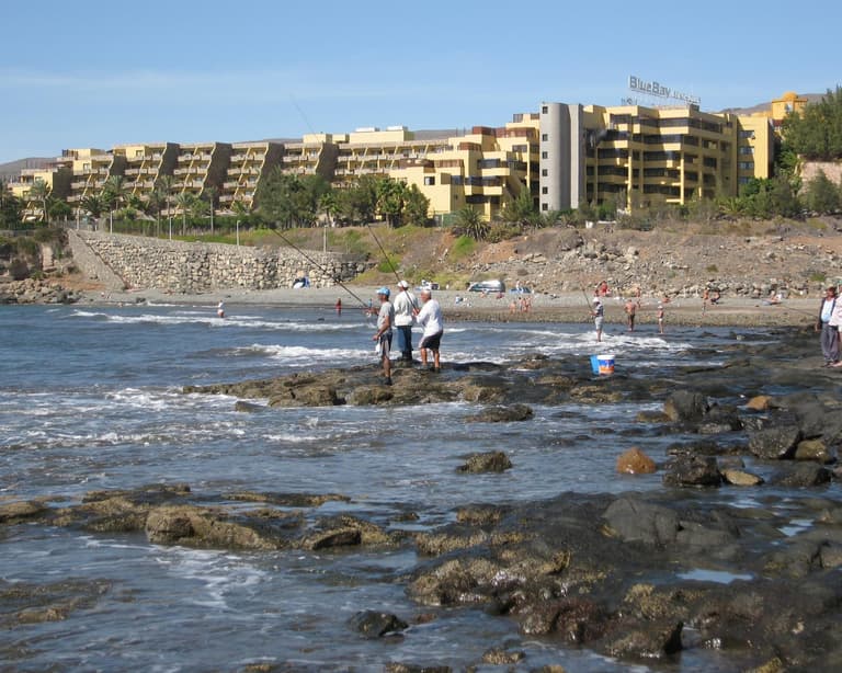 Tarajalillo